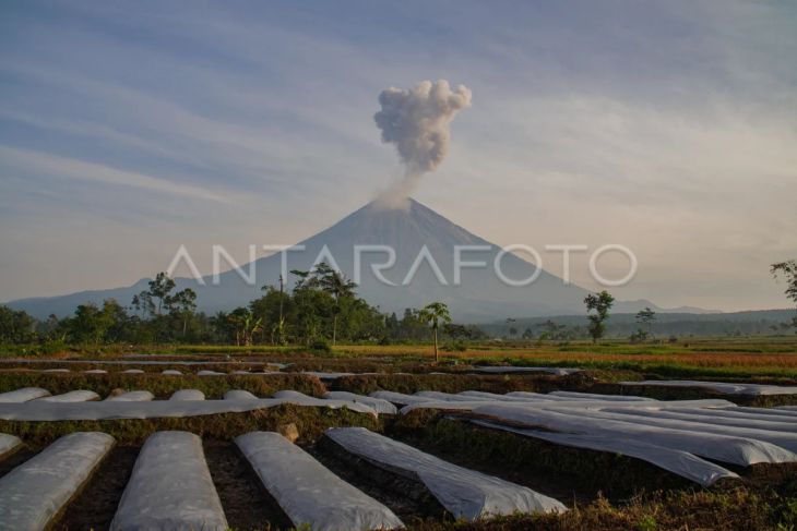 Aktivitas vulkanik Gunung Semeru terbanyak di Indonesia