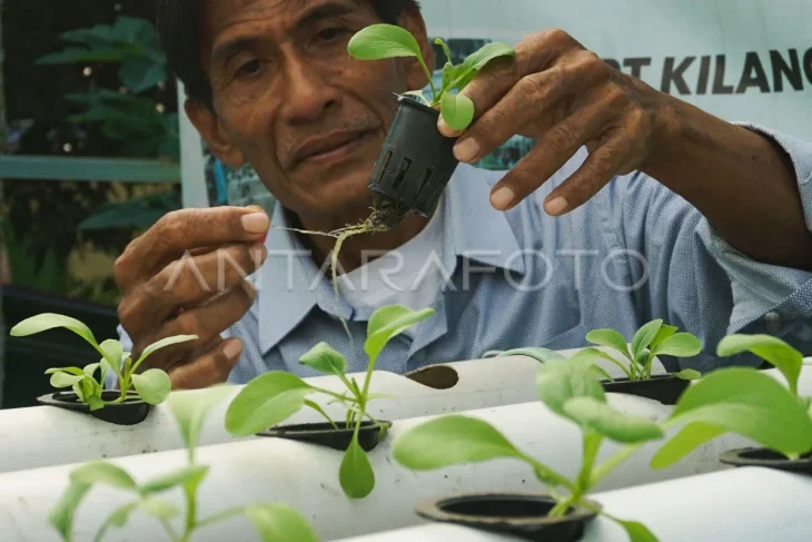 Program kampung iklim di Balikpapan