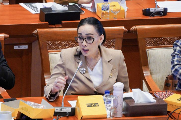Anggota DPR nilai rencana evakuasi warga Gaza ke Galang bisa jadi "bumerang"