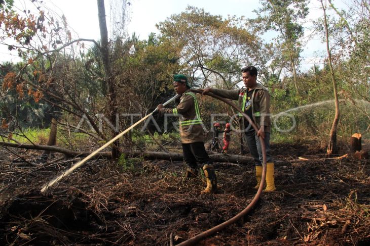 BMKG Kalbar imbau masyarakat waspadai potensi karhutla