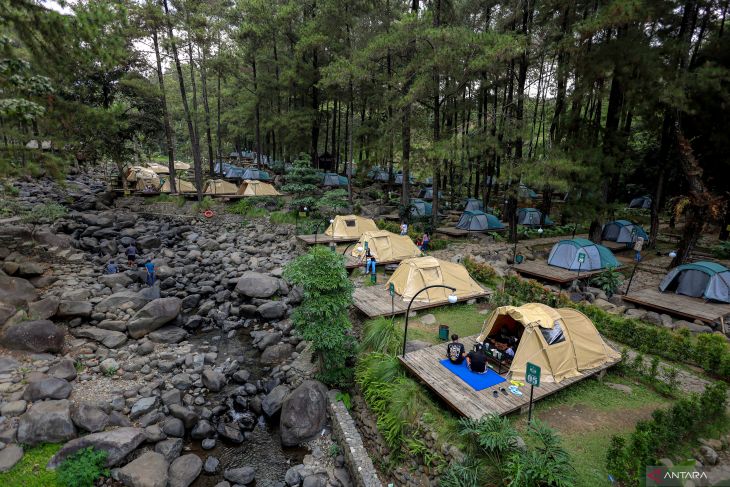 Potensi wisata hutan pinus Jolotundo di Nganjuk