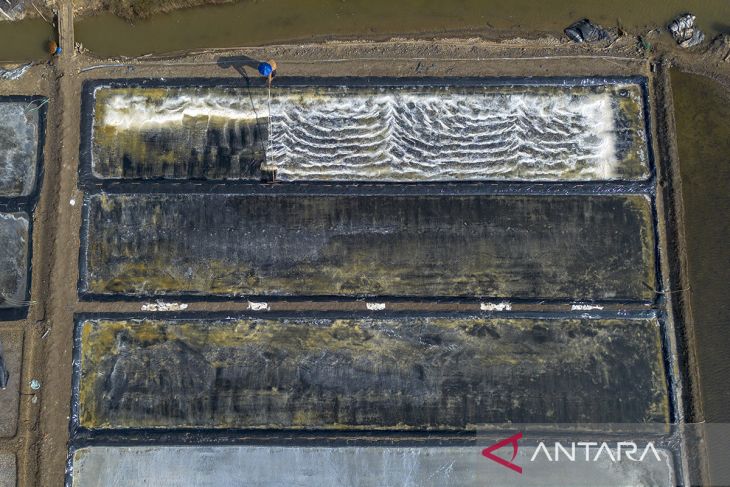 Petambak mulai produksi garam