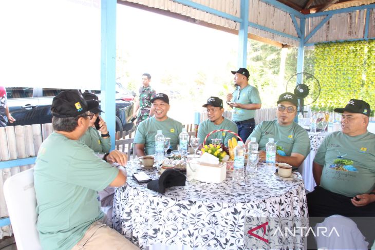 PLN UIW Babel tanam 10.000 bibit mangrove di Pantai Penyak