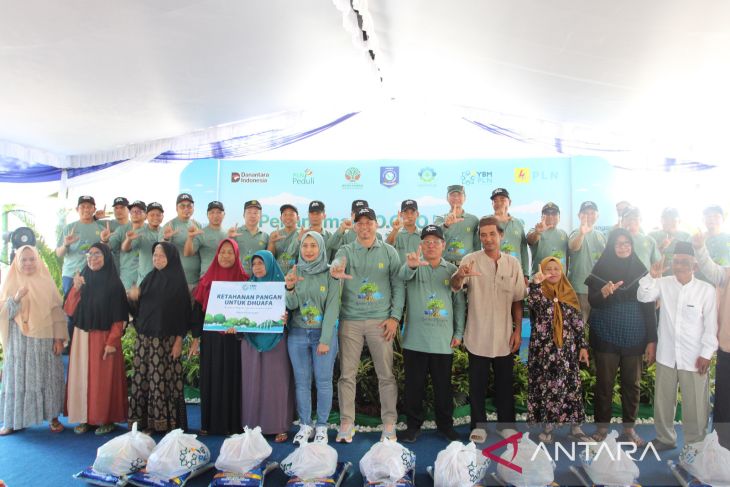 PLN UIW Babel tanam 10.000 bibit mangrove di Pantai Penyak