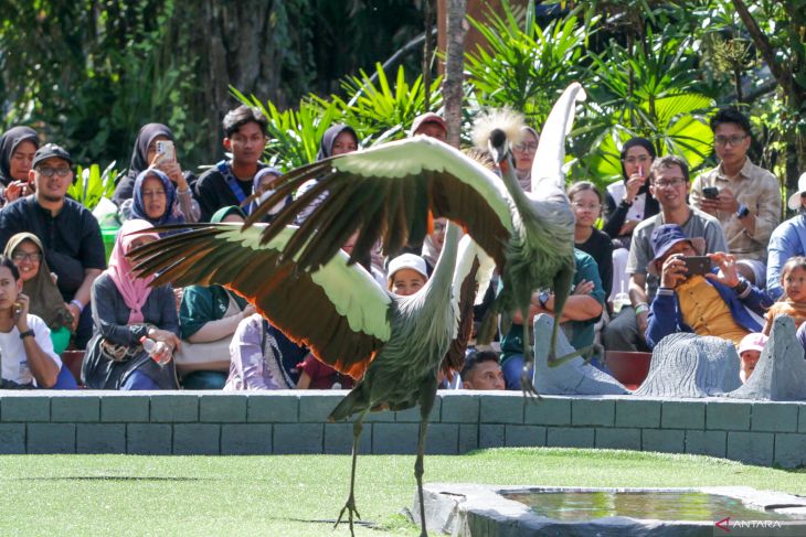Perjalanan wisatawan nusantara ke Jawa Timur meningkat