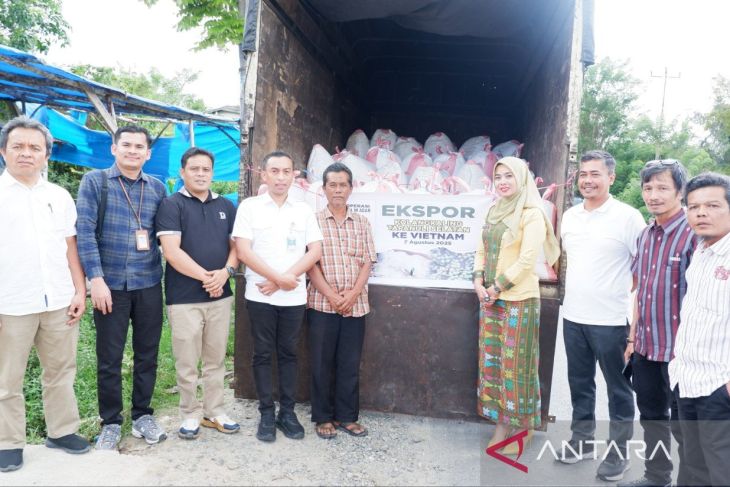 Kolang-Kaling Tapsel tembus pasar Asia, Vietnam jadi konsumen setia