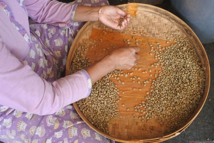 Produksi kopi Jawa Timur
