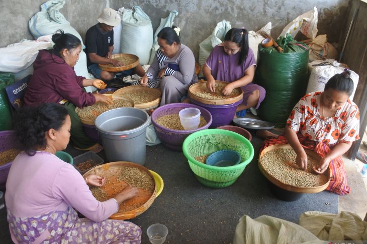 Produksi kopi Jawa Timur