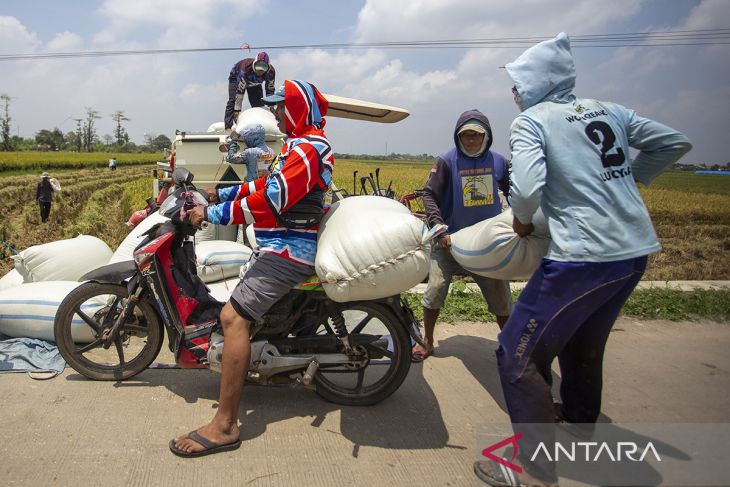 Proyeksi produksi beras nasional