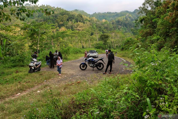 Progres pembangunan JLS di Banyuwangi