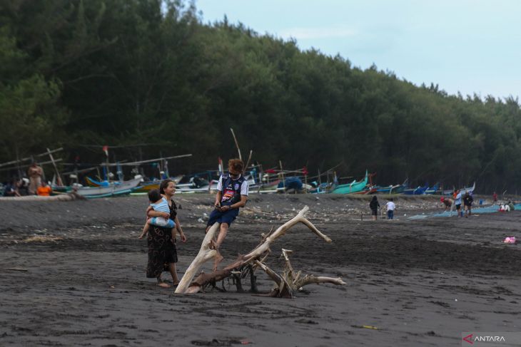 Dampak abrasi di Pantai Cemara Banyuwangi