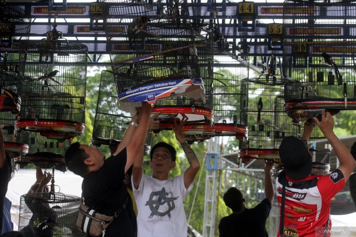 Lomba kicau burung di Ngawi