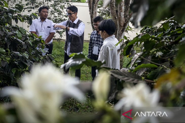 Program pelatihan argoforestri di Lembang