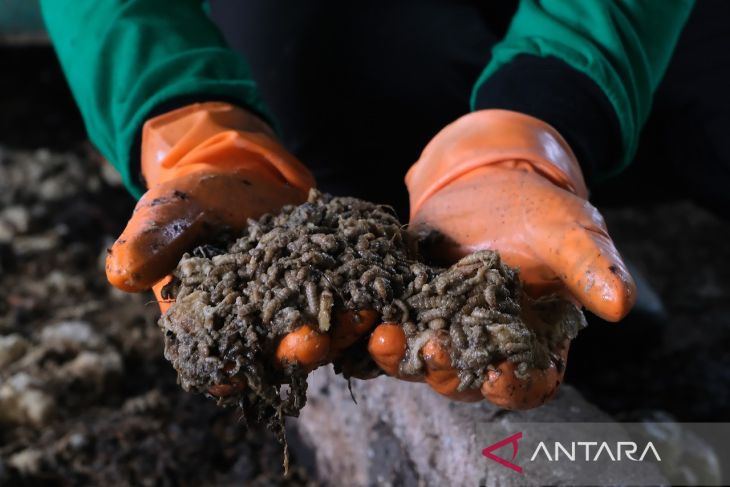 Target Pengelolaan Sampah Pontianak Tahun 2029