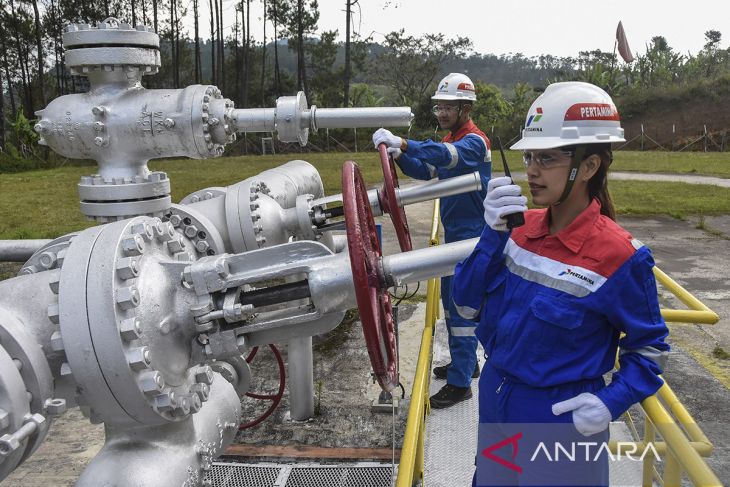 Target energi panas bumi