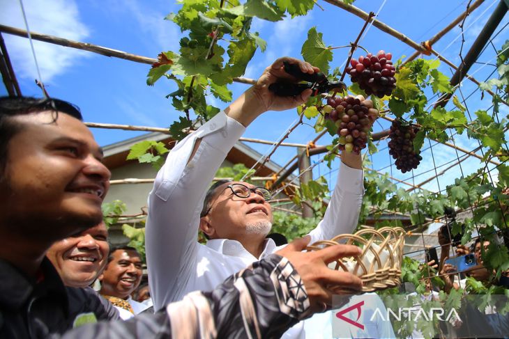 FOTO - Menko Pangan kunjungi di Aceh