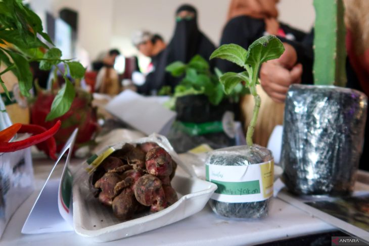 Jagoan Banyuwangi 2025