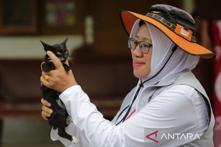 FOTO - Vaksinasi pencegahan rabies di pulau terluar Aceh