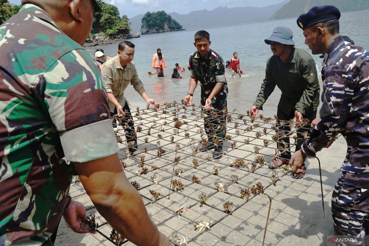 Penanaman terumbu karang di Trenggalek