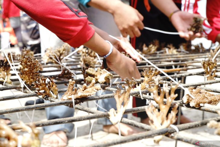 Penanaman terumbu karang di Trenggalek