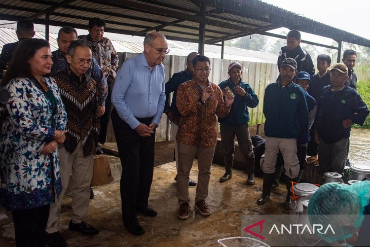 OJK perkuat digitalisasi bisnis peternakan