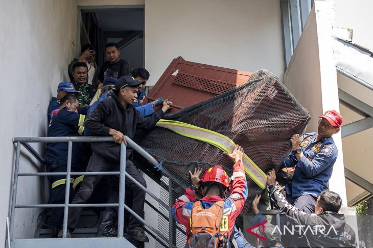 Macan tutul masuk hotel di Bandung, dievakuasi ke Lembang Park & Zoo untuk perawatan