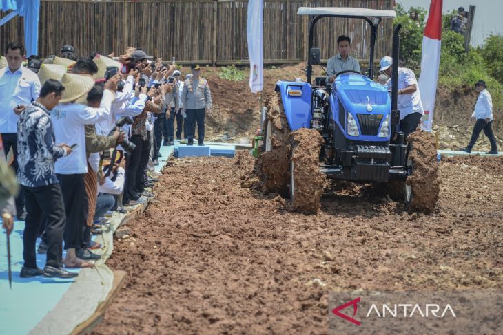 Penanaman jagung serentak kuartal IV tahun 2025