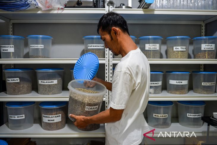 Ekspor kopi Indonesia semester satu 2025