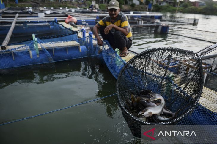 Pemanfaatan danau untuk budi daya ikan