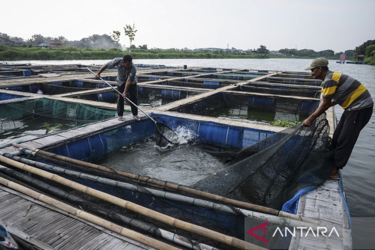 Pemanfaatan danau untuk budi daya ikan
