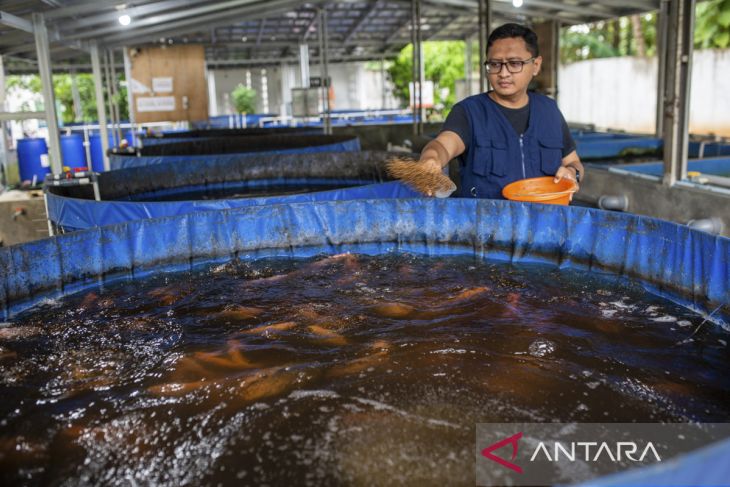 Pengembangan sistem pertanian terpadu di Kota Serang
