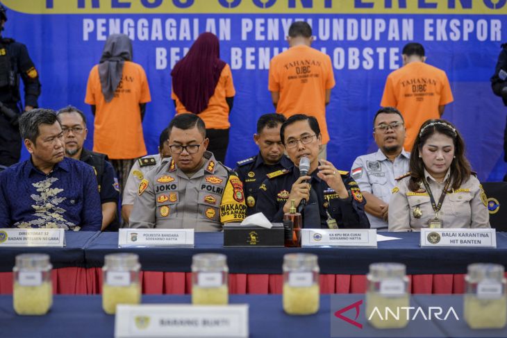 Ungkap kasus penyelundupan benih bening lobster