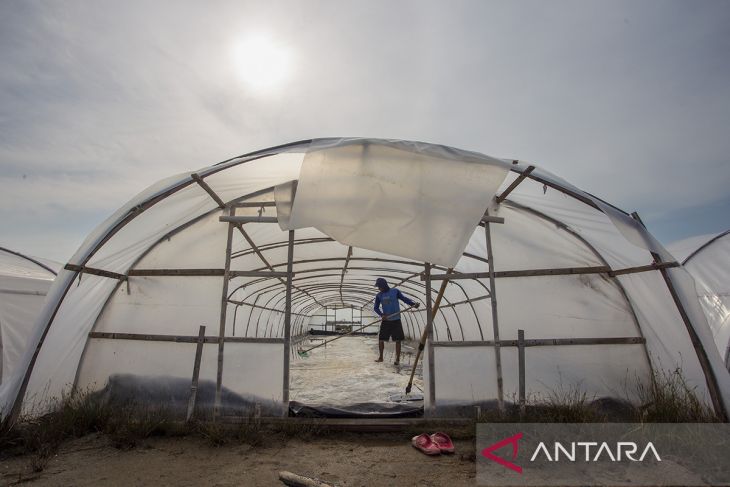 Target swasembada garam nasional