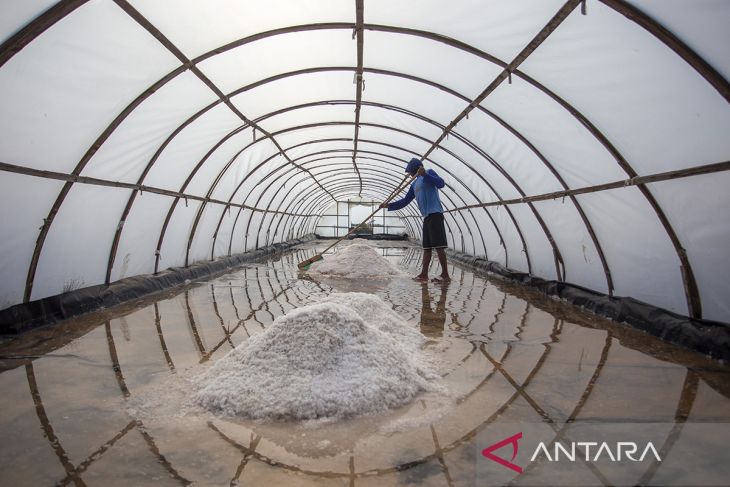 Target swasembada garam nasional