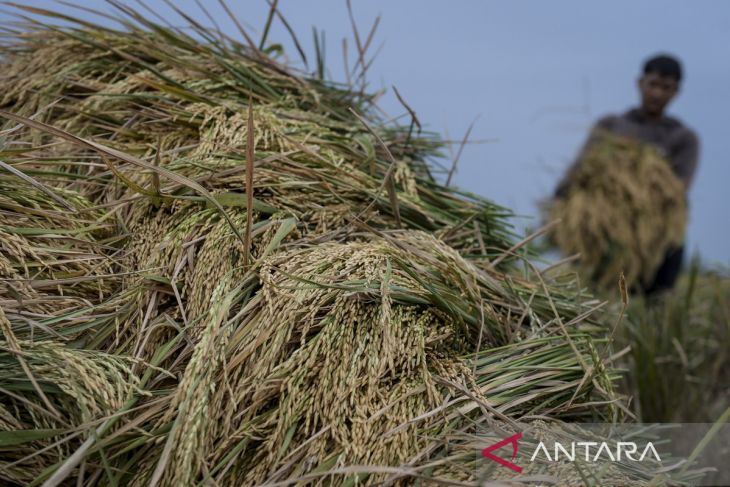 Sektor pertanian sumbang PDB tertinggi