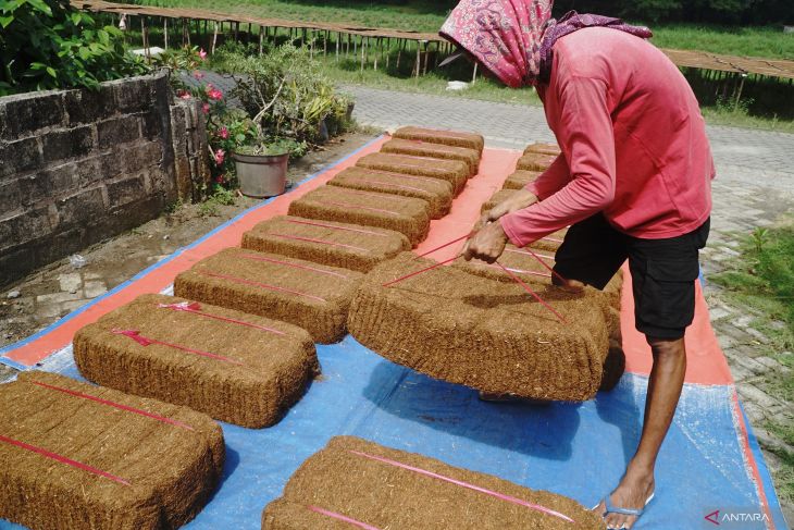 Kenaikan harga tembakau dampak cuaca buruk