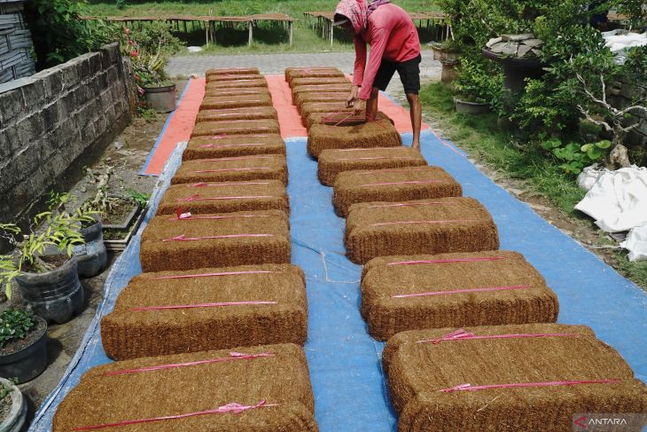 Kenaikan harga tembakau dampak cuaca buruk