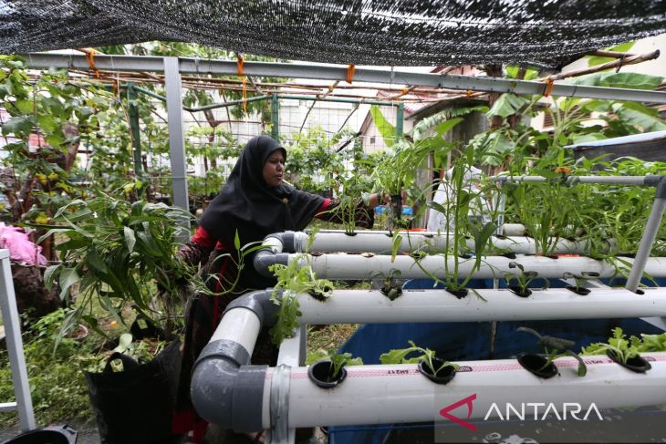 USK terapkan "smart feeder" terintegrasi akuaponik untuk dukung ketahanan pangan kota