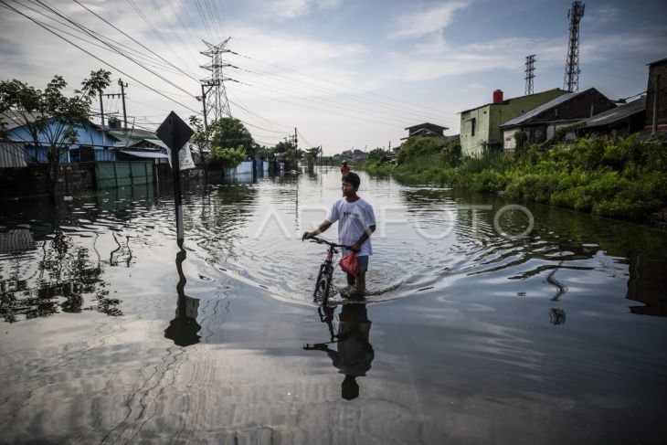 Foto: Banjir Kota Semarang belum surut