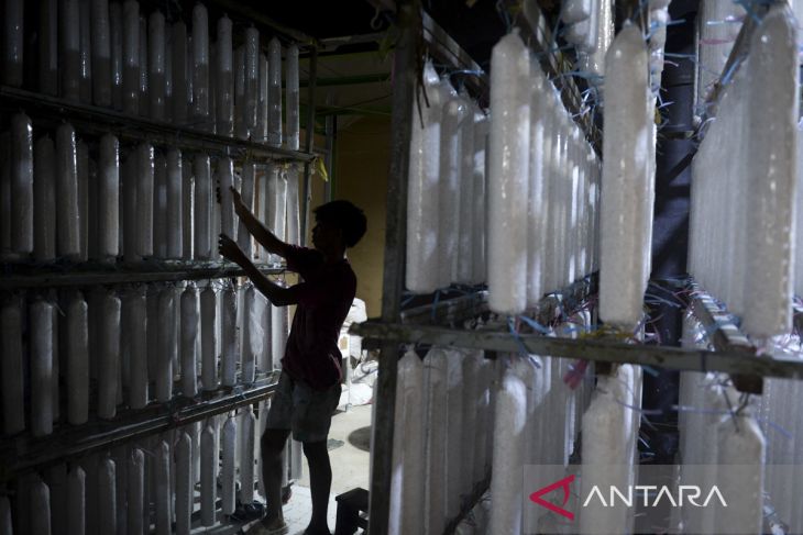 Realisasi penyaluran KUR sektor produksi