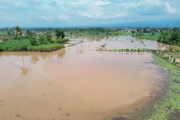 Status tanggap darurat bencana di Lumajang