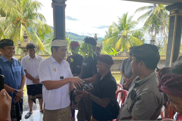 Pemkab  Jembrana membantu petani ratusan ribu bibit kakao