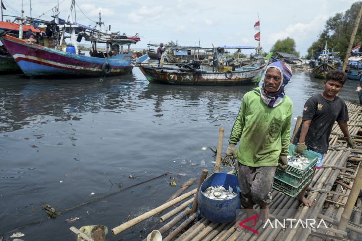 Volume penangkapan ikan nasional 2025