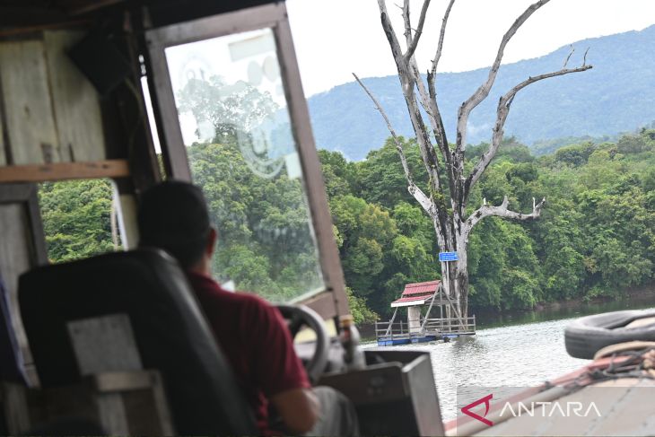 Gerbang hijau Geopark Meratus dari Desa Belangian