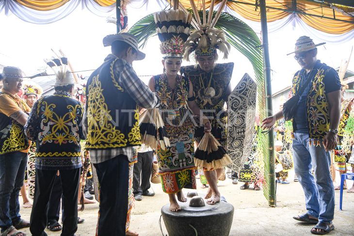 Pernikahan Adat Dayak Kenyah