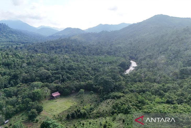 Gerbang hijau Geopark Meratus dari Desa Belangian