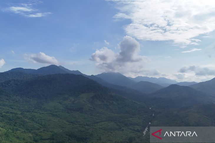 Gerbang hijau Geopark Meratus dari Desa Belangian