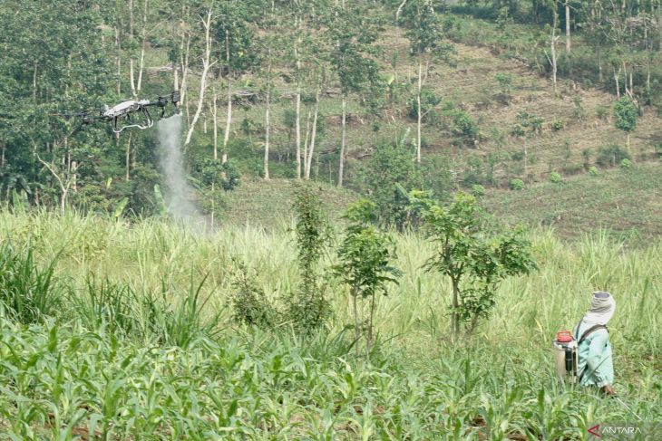 Jasa penyemprotan menggunakan drone