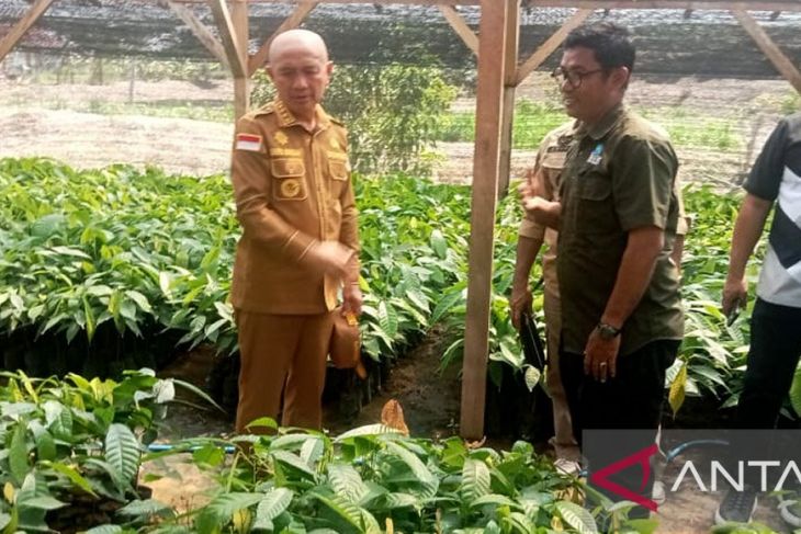 Pemkab Pohuwato dukung Program Kakao Burung Indonesia