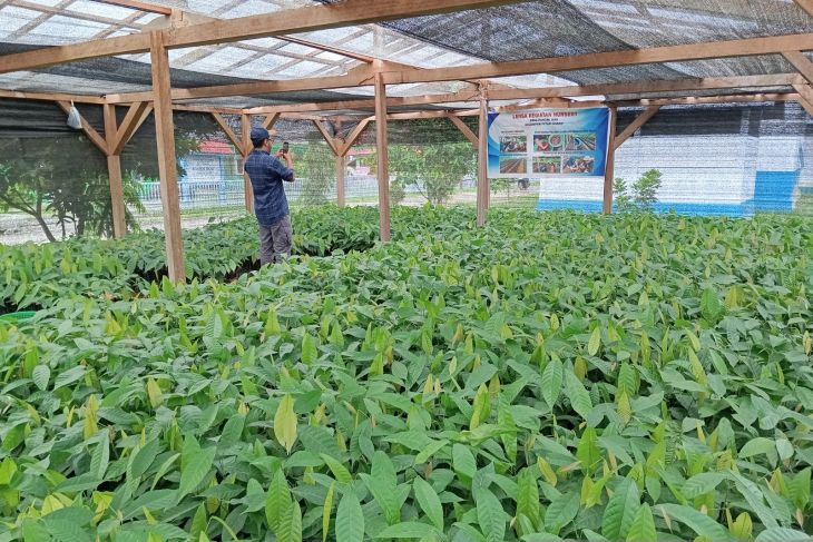 Bupati Pohuwato Apresiasi Program Kakao Burung Indonesia di Taluditi